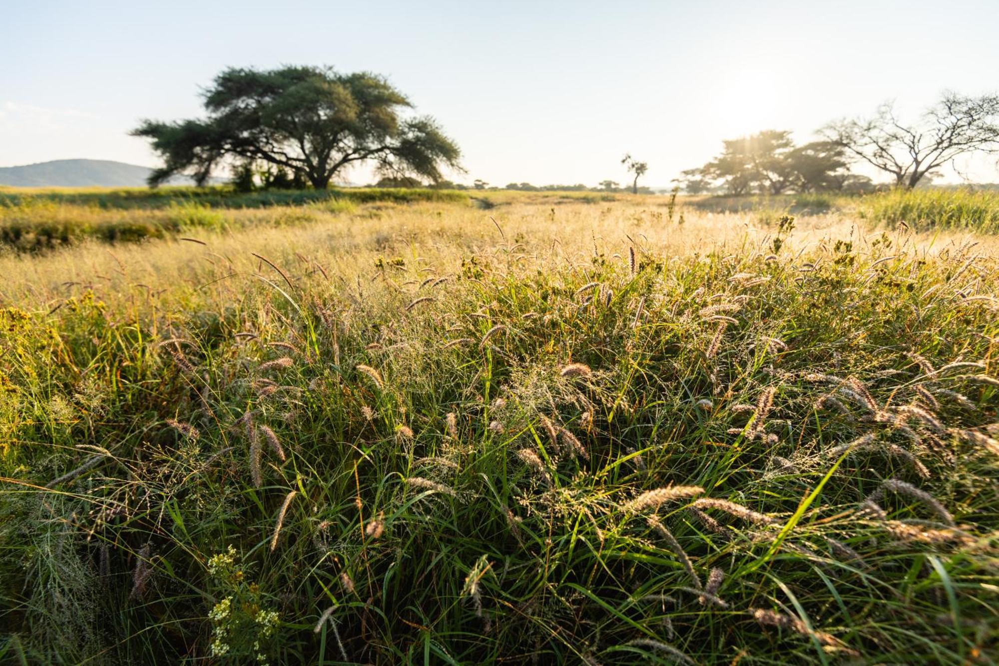 Frans Indongo Lodge Otjiwarongo Luaran gambar
