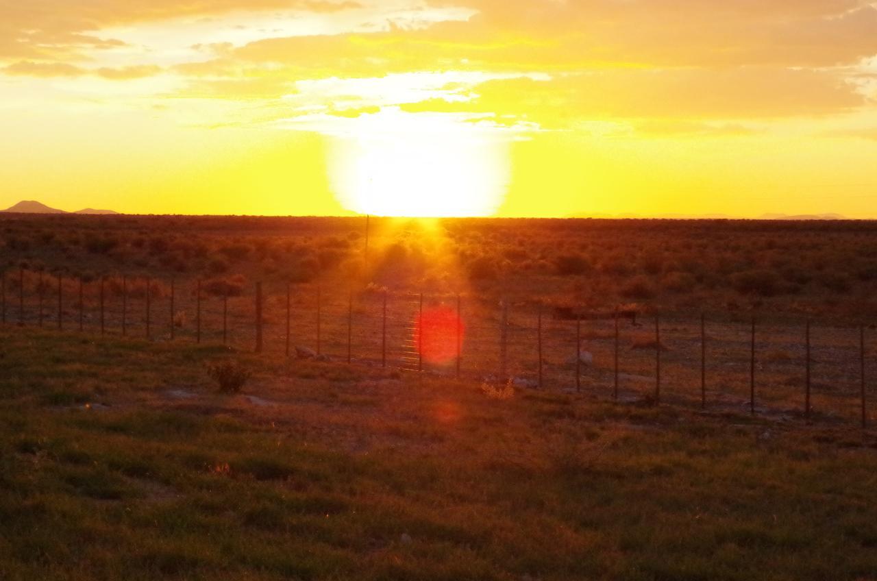 Frans Indongo Lodge Otjiwarongo Luaran gambar